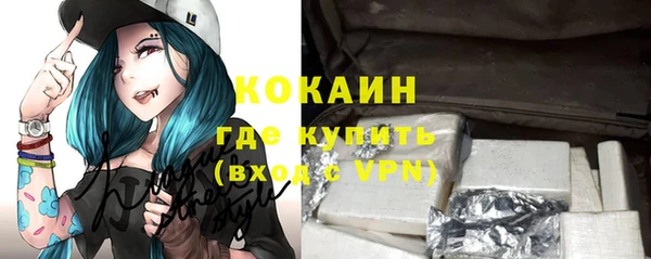 ГАЛЛЮЦИНОГЕННЫЕ ГРИБЫ Абаза