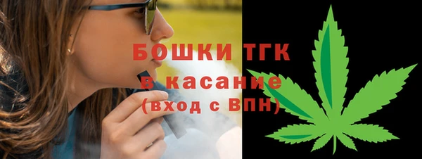 ГАЛЛЮЦИНОГЕННЫЕ ГРИБЫ Абаза