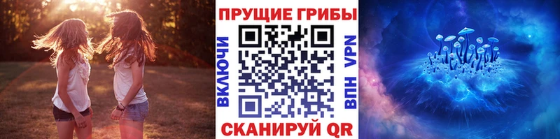 Псилоцибиновые грибы мухоморы  Южно-Сухокумск 